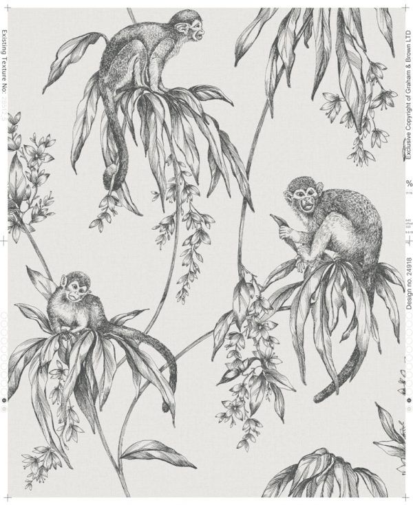 106157 Saimiri Monkey